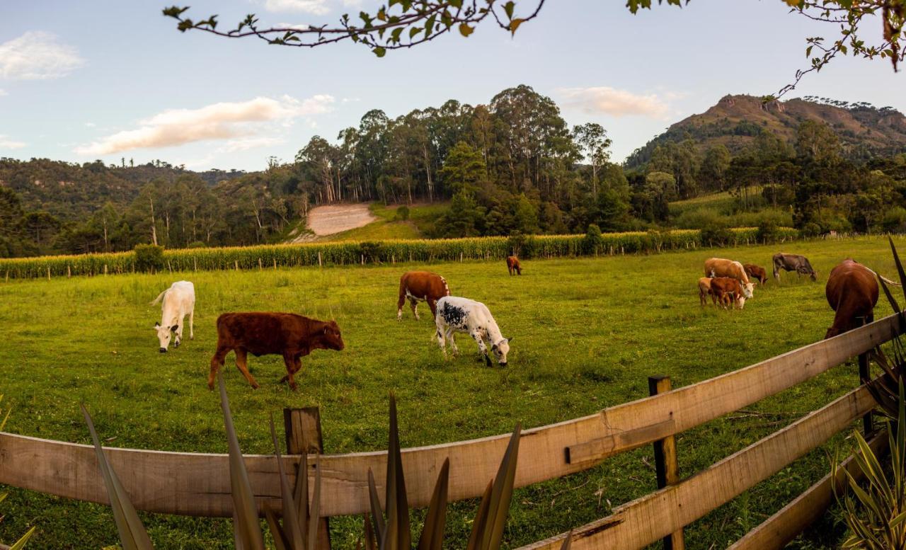 Hospedagem Rural Recanto Do Riacho Urubici Εξωτερικό φωτογραφία